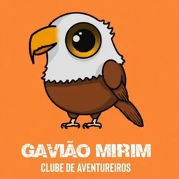 GAVIÃO MIRIM
